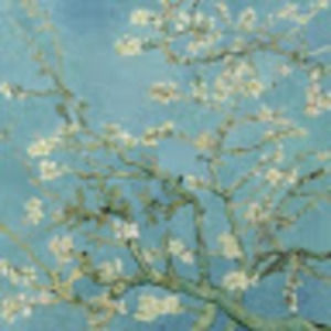 Meet your Posher, Sofia